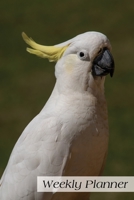 Weekly Planner: Cockatoo Bird Daily Planner Schedule Organizer Agenda 52 weeks 6x9 1678689475 Book Cover