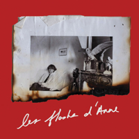 Anne Day: Les Flashes d'Anne 1738901378 Book Cover