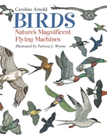 Birds: Nature's Magnificent Flying Machines 1570915725 Book Cover