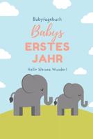 Babytagebuch Babys Erstes Jahr Hallo Kleines Wunder: A5 Tagebuch mit sch�nen Spr�chen als Geschenk zur Geburt f�r M�dchen- Geschenkidee f�r werdene M�tter zur Schwangerschaft - Baby-Tagebuch - Babyalb 1080512616 Book Cover
