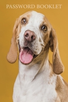 password booklet: password book, password log book and internet password organizer, alphabetical password book, Logbook To Protect Usernames and ... ... book small 6” x 9”-A5-15,24x22,86cm-80pages 1672049490 Book Cover