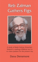 Reb Zalman Gathers Figs: A Study of Rabbi Zalman Schachter-Shalomi's Reading of Biblical Text to Re-Vision Judaism for the Present Day 188800939X Book Cover