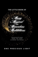 The Little Book Of Many Magical and Miraculous Meditations: Transcriptions From The Enzo Academy Material By One Precious Light 130093669X Book Cover