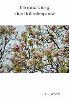 The road is long, don't fall asleep now 0244670846 Book Cover