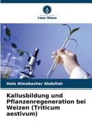 Kallusbildung und Pflanzenregeneration bei Weizen (Triticum aestivum) 620637758X Book Cover