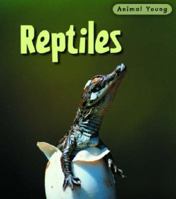 Reptiles. Rod Theodorou 0431932379 Book Cover