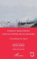 L'espace immatériel dans le cinéma de Jia Zhangke: Une politique du regard (Champs Visuels) (French Edition) 2343192626 Book Cover