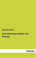 Entwicklungsgeschichte Des Weltalls 1144036038 Book Cover