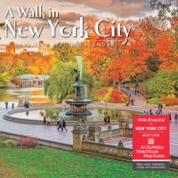 A Walk in New York City 2022 Wall Calendar 1549216465 Book Cover