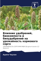 Влияние удобрений, биокомпоста и биоудобрений на урожайность кормового сорго: УРОЖАЙНОСТЬ СОРГХУМА РАБИ (Sorghum bicolor (L) Moench) 6206230112 Book Cover