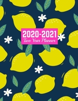 2020-2021 Two Year Planner: 24-Months Calendar, 2-Year Appointment Business Planners, Agenda Schedule Organizer Logbook and Journal Art Cover 00023190 1712891669 Book Cover