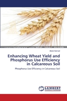 Enhancing Wheat Yield and Phosphorus Use Efficiency in Calcareous Soil: Phosphorus Use Efficiency in Calcareous Soil 3659547417 Book Cover