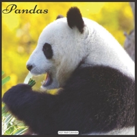 Pandas 2021 Wall Calendar: Official Panda 2021 Wall Calendar18 months B08RRDT9LH Book Cover