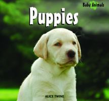 Puppies (Baby Animals) 1404241434 Book Cover