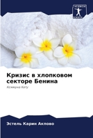 Кризис в хлопковом секторе Бенина: Коммуна Кету 6206215776 Book Cover