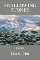 Swallowing Stones 1639802495 Book Cover