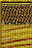 1511: Kisah Sebuah Kota 1482898314 Book Cover