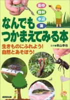 Catch-Anything Book 4415327117 Book Cover