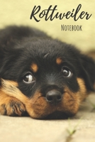 Rottweiler Notebook: Notebook (120 pages, 6x9): Lined Rottweiler Notebook / Journal - Great Accessories & Gift Idea for Rottweiler Owner & Lover. Great Notepad for Shopping Lists, Daily ... List, Dog  1706000243 Book Cover