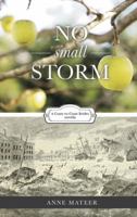 No Small Storm 0999232207 Book Cover