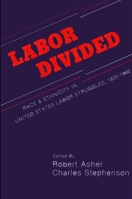Labor Divided: Race and Ethnicity in United States Labor Struggles, 1835-1960. (S U N Y Series in American Labor History) 088706972X Book Cover