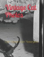 Vintage Cat Photos: Cat Humor from Yesteryear 172876792X Book Cover