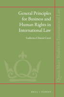 General Principles for Business and Human Rights in International Law 900444002X Book Cover