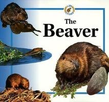 The Beaver (Life Cycles (Raintree Hardcover)) 0817243763 Book Cover