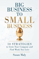 Big Business to Small Business: 10 Strategies to Grow Your Company and Find Work You Love B0FNRDY5GC Book Cover