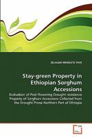 Stay-green Property in Ethiopian Sorghum Accessions 3639350146 Book Cover