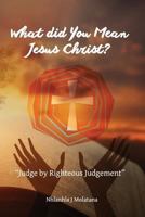 What Did You Mean Jesus Christ?: Judge by Righteous Judgement 1530677920 Book Cover