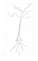 WellSpringEternal B0GQJB4Z1H Book Cover