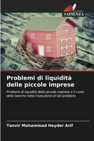 Problemi di liquidità delle piccole imprese: Problemi di liquidità delle piccole imprese e il ruolo delle banche nella risoluzione di tali problemi (Italian Edition) 6208730961 Book Cover