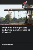 Problemi delle piccole industrie nel distretto di Kurnool (Italian Edition) 6208793440 Book Cover