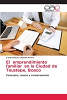 El emprendimiento familiar en la Ciudad de Teustepe, Boaco: Concepto, causas y consecuencias 6203031569 Book Cover