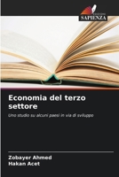 Economia del terzo settore (Italian Edition) 6208022932 Book Cover