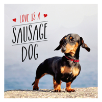 Love Is a Sausage Dog 1849539871 Book Cover