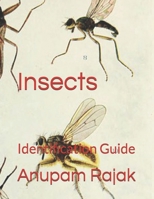 Insects: Identification Guide 1661188311 Book Cover