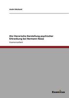 Die literarische Darstellung psychischer Erkrankung bei Hermann Hesse 3869431717 Book Cover