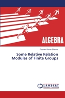 Some Relative Relation Modules of Finite Groups 6139848512 Book Cover