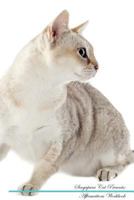 Singapura Cat Affirmations Workbook Singapura Cat Presents: Positive and Loving Affirmations Workbook. Includes: Mentoring Questions, Guidance, Supporting You. 1526975726 Book Cover