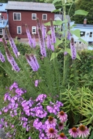 The Good Husband 165322455X Book Cover