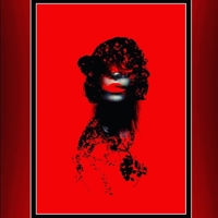 The Anonemis, Too 1980289352 Book Cover