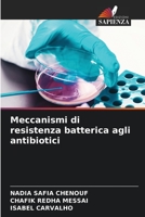 Meccanismi di resistenza batterica agli antibiotici 6206079104 Book Cover