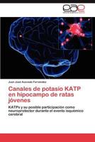Canales de Potasio Katp En Hipocampo de Ratas Jovenes 3659028398 Book Cover