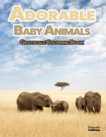 Adorable Baby Animals Grayscale Coloring Book: 32 Sweet Pictures to Color Featuring Baby Camels, Pigs, Ducks, and Much More 1989842623 Book Cover