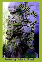 In The Air, Against The Air: Poetry by Julie K. Shavin 1453855777 Book Cover