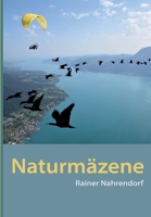 Naturmäzene: Stifter, Spender, Sponsoren für den Schutz der Natur- Ein multimediales Naturbuch (German Edition) 338402771X Book Cover