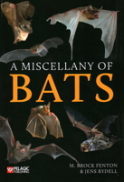 A Miscellany of Bats 1784272949 Book Cover