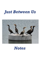 Just Between Us Notes B0857BFYL9 Book Cover